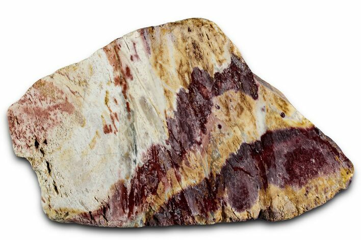 Colorful Polished Killaloe Opal Slab - Australia #353863